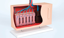 免费短信电话轰炸机